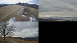 Sdružený snímek Bludný