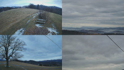 Sdružený snímek Bludný