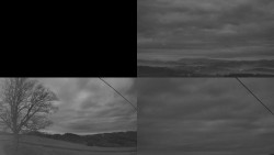 Sdružený snímek Bludný