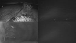 Sdružený snímek Bludný