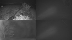 Sdružený snímek Bludný