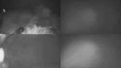 Sdružený snímek Bludný