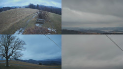 Sdružený snímek Bludný