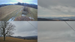 Sdružený snímek Bludný