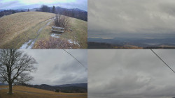 Sdružený snímek Bludný