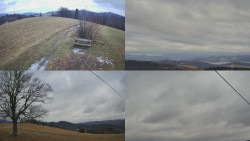 Sdružený snímek Bludný