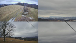 Sdružený snímek Bludný