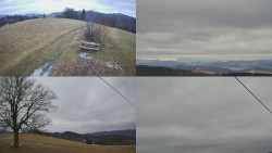 Sdružený snímek Bludný