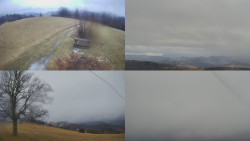 Sdružený snímek Bludný