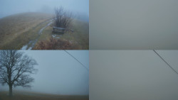 Sdružený snímek Bludný