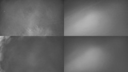 Sdružený snímek Bludný