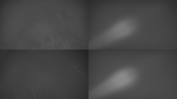 Sdružený snímek Bludný