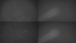 Sdružený snímek Bludný