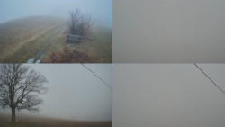 Sdružený snímek Bludný