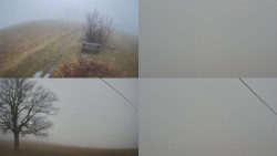 Sdružený snímek Bludný