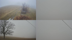 Sdružený snímek Bludný