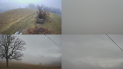 Sdružený snímek Bludný