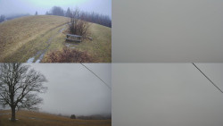 Sdružený snímek Bludný