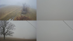 Sdružený snímek Bludný