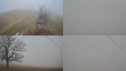 Sdružený snímek Bludný