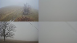 Sdružený snímek Bludný