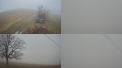 Sdružený snímek Bludný