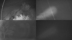 Sdružený snímek Bludný