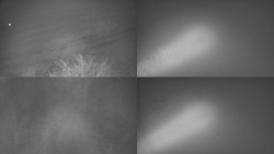 Sdružený snímek Bludný