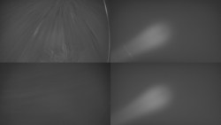 Sdružený snímek Bludný