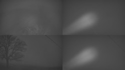 Sdružený snímek Bludný