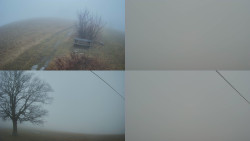 Sdružený snímek Bludný