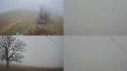 Sdružený snímek Bludný