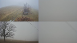 Sdružený snímek Bludný