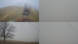 Sdružený snímek Bludný