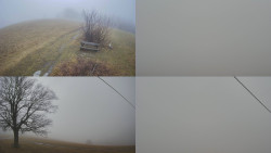 Sdružený snímek Bludný