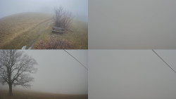 Sdružený snímek Bludný