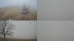 Sdružený snímek Bludný