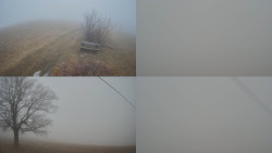 Sdružený snímek Bludný