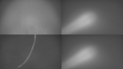 Sdružený snímek Bludný