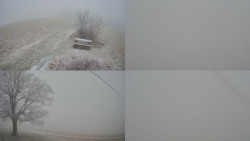 Sdružený snímek Bludný