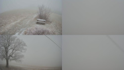 Sdružený snímek Bludný