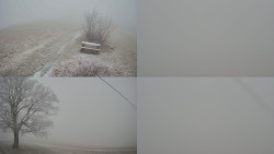 Sdružený snímek Bludný