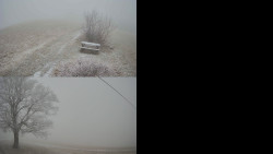 Sdružený snímek Bludný