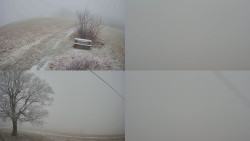 Sdružený snímek Bludný