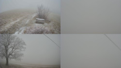 Sdružený snímek Bludný