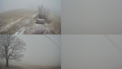 Sdružený snímek Bludný