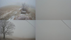 Sdružený snímek Bludný