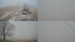 Sdružený snímek Bludný