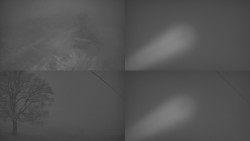 Sdružený snímek Bludný