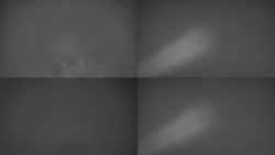 Sdružený snímek Bludný